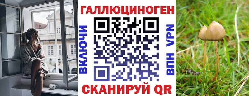 Галлюциногенные грибы Cubensis  Купить где  Поворино 